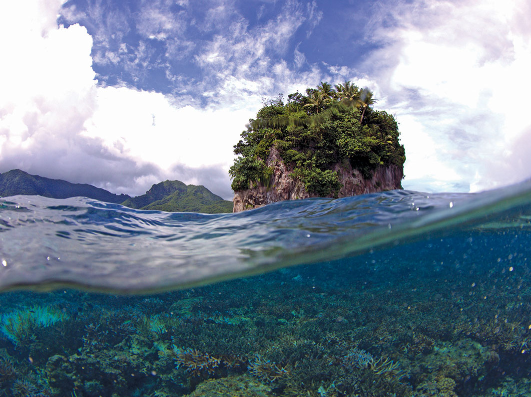 A partially submerged image of a coral reef and a rocky cliff above