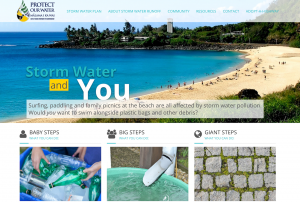 Screen shot of webpage 'protect our water - storm water and you'