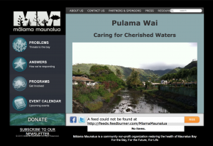 Screen shot of webpage 'Pulama Wai: Caring for cherished waters'