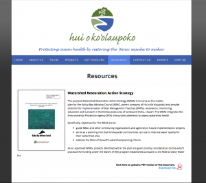 Screen shot of a webpage for 'watershed restoration action strategy'