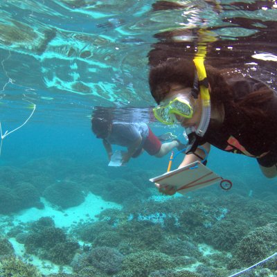 Two snorkelers glide over a reef as they hold waterproof notepads