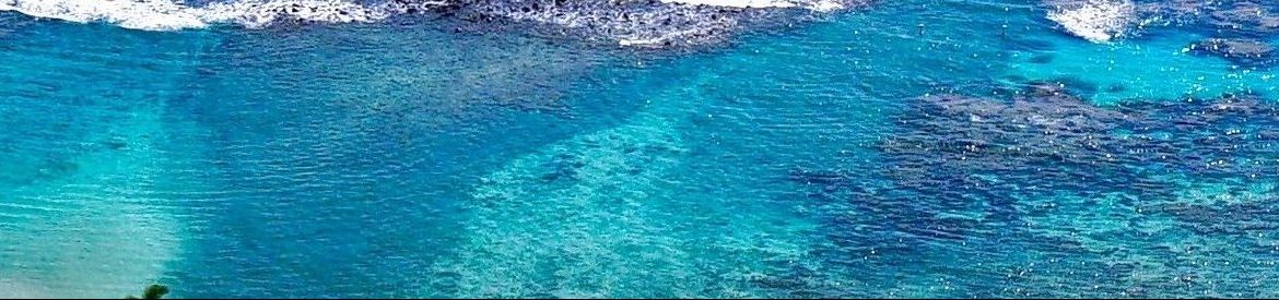 cropped image of the reef in Hanauma Bay
