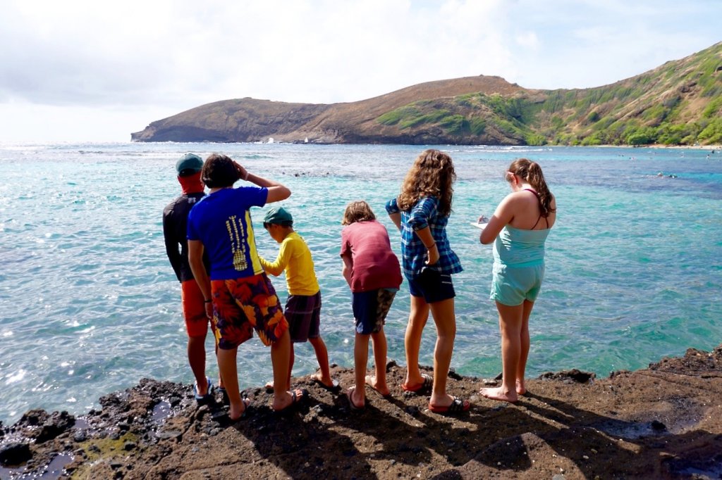 Hanauma Bay students standing on shoreline looking into ocean