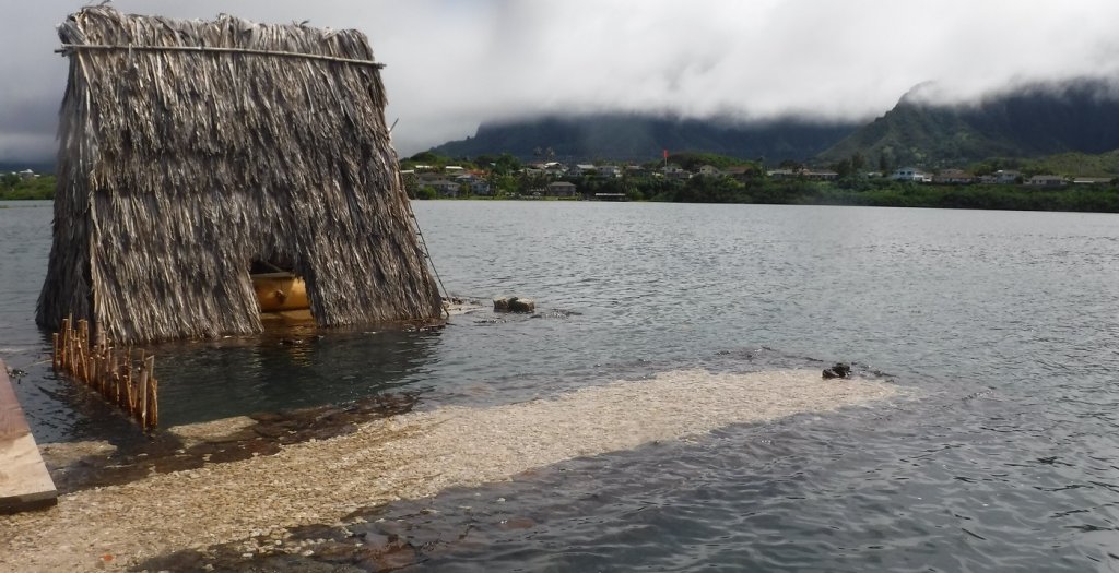 Water overtopping wall at He'eia Fishpond