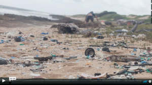 Marie debris and micro-plastic litters the shoreline