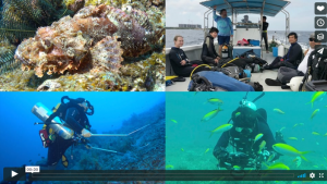 Four thumbnail images: a devil scorpionfish, 7 people sit on a scuba boat, a researcher dives underwater, a photographer dives underwater
