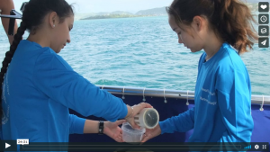 Two students collect water samples from underwater