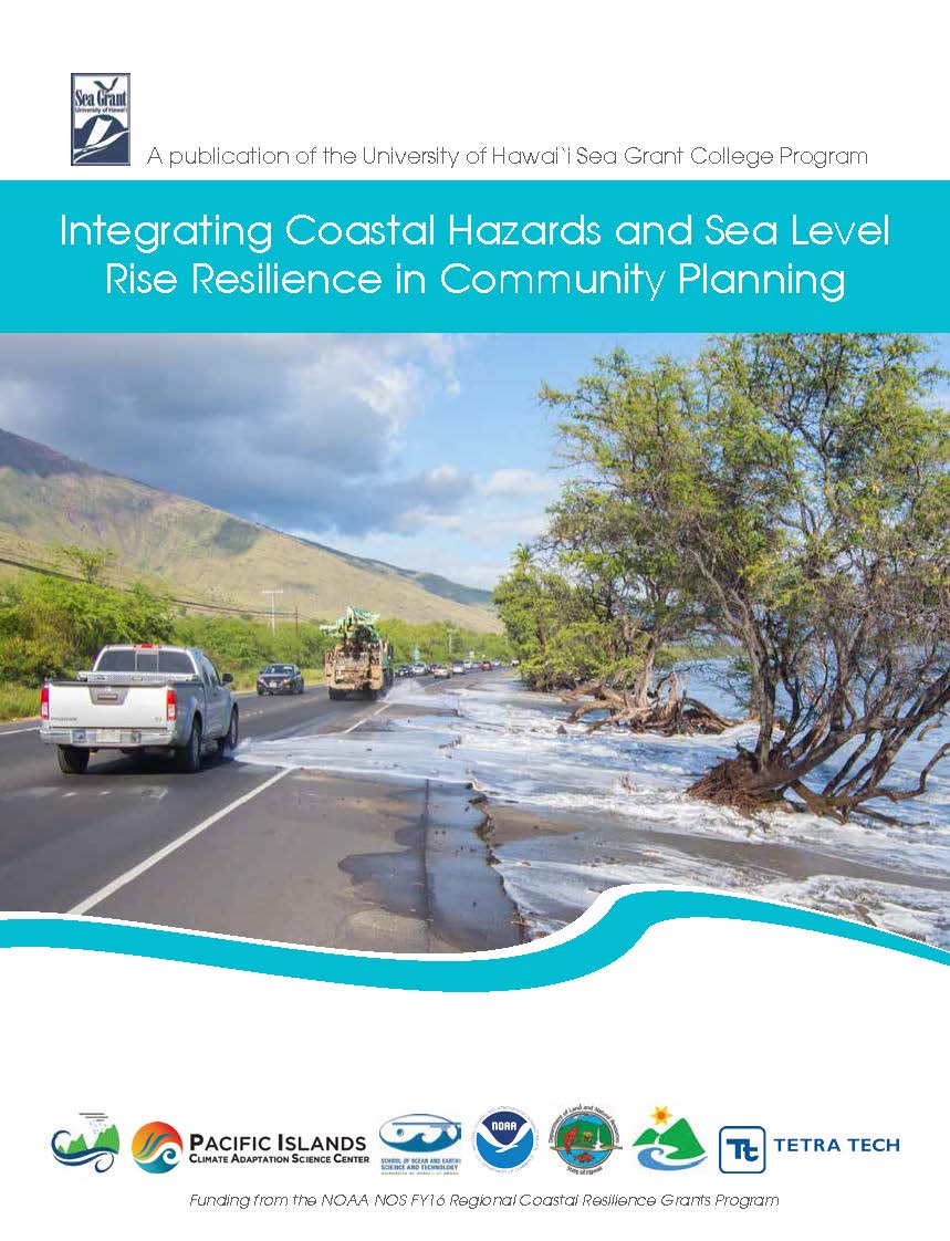Resilience in planning factsheet flyer, includes image of high tide washing over a road
