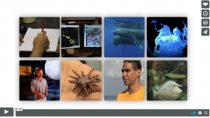 Eight thumbnail images: a hand drawing on paper, two monitor screens, two blue whales swimming, an infrared map, a man standing, an organism on a hand, a man speaking in an orange shirt, a fish