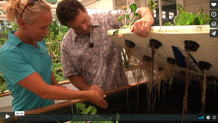 Two people lift up an aquaponic grow operation to look at the roots