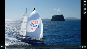 A boat with sails reading 'Tara Oceans' flies across the sea, with some rock formations in the background
