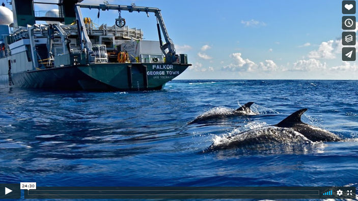 voice of the sea season 2 episode 17 - Two dolphins swim next to a research vessel