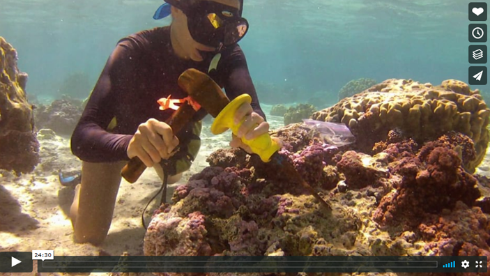 A diver uses tools to remove something from the reef