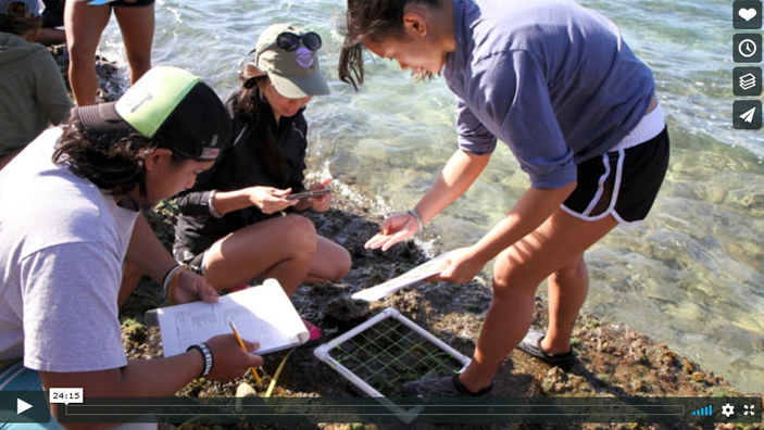 voice of the sea season 4 episode 3, three people crouch next to each other and investigate Intertidal Algae and Invertebrates