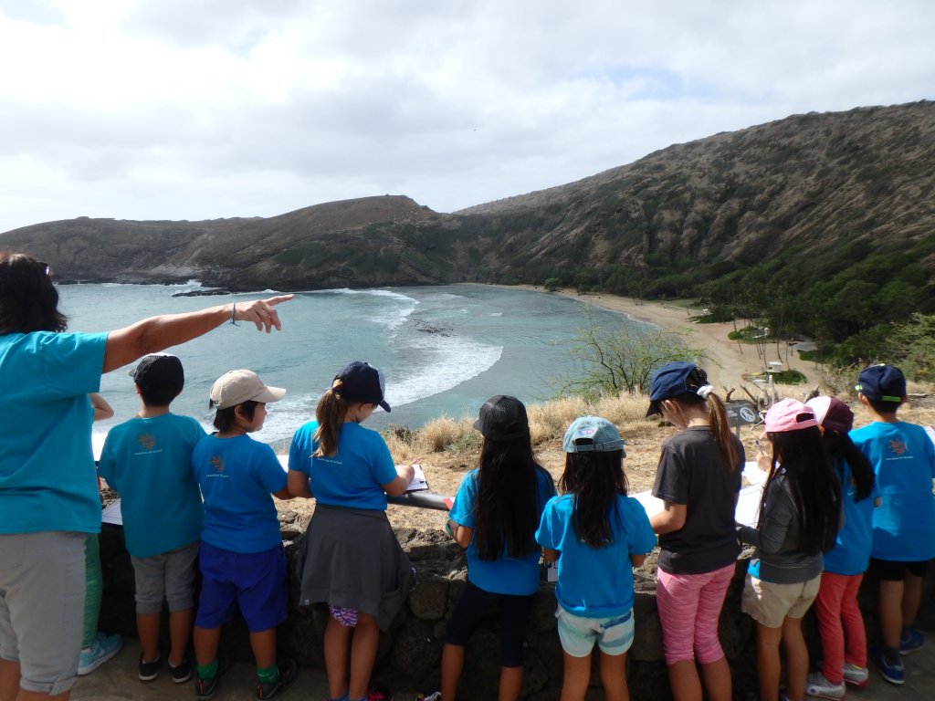 group of students at lookout above hanauma looking into bay