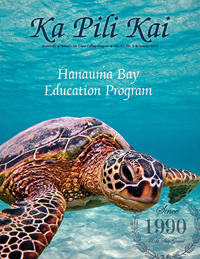 Green sea turtle underwater on the cover of Ka Pili Kai