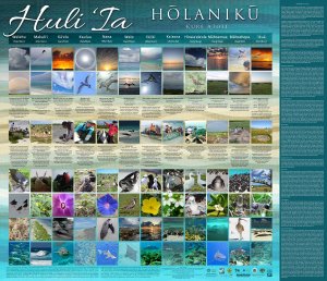 Huli 'Ia diagram, containing 84 thumbnail images of birds, beaches, flowers, the ocean and people describing events that occur at each time of year