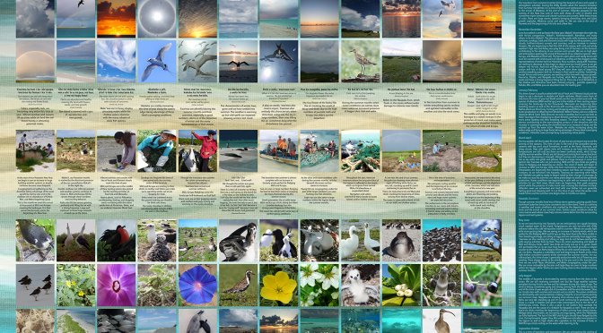 Huli 'Ia diagram, containing 84 thumbnail images of birds, beaches, flowers, the ocean and people describing events that occur at each time of year