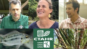 Collage image for the College of Tropical Agriculture and Hu,am Resources, containing images of 3 people, a fish, bamboo and the CTAHR logo