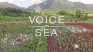 Voice of the Sea cover image, with taro patches and mountains in the background