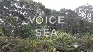 Voice of the Sea intro page, with ferns and trees in the background