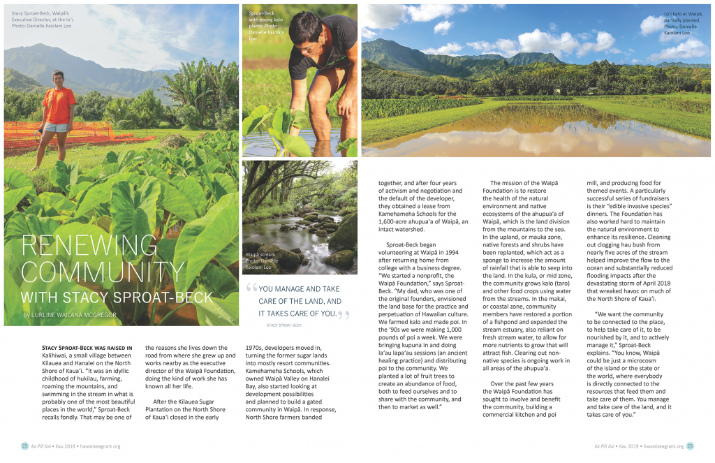 Stacy Sproat-Beck, Waipā’s Executive Director, at the lo‘i, included in an article layout