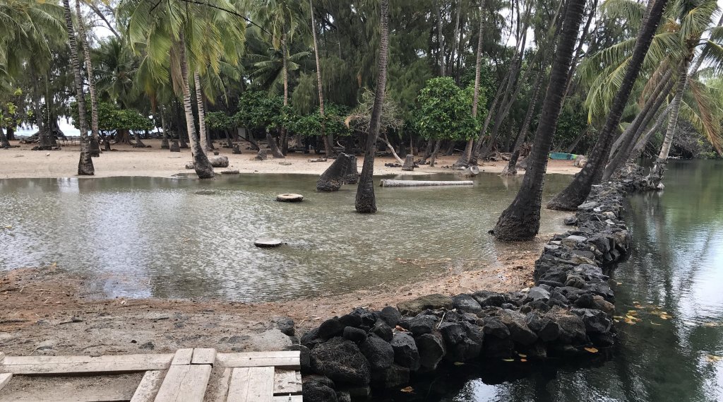 Kiholo Fishpond in West Hawai'i during King Tide Event