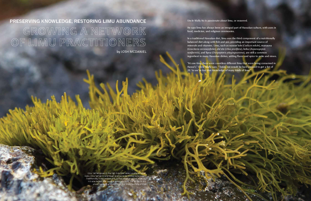 opening spread for "growing a network of limu practitioners" article, Ka Pili Kai Hooilo 2019