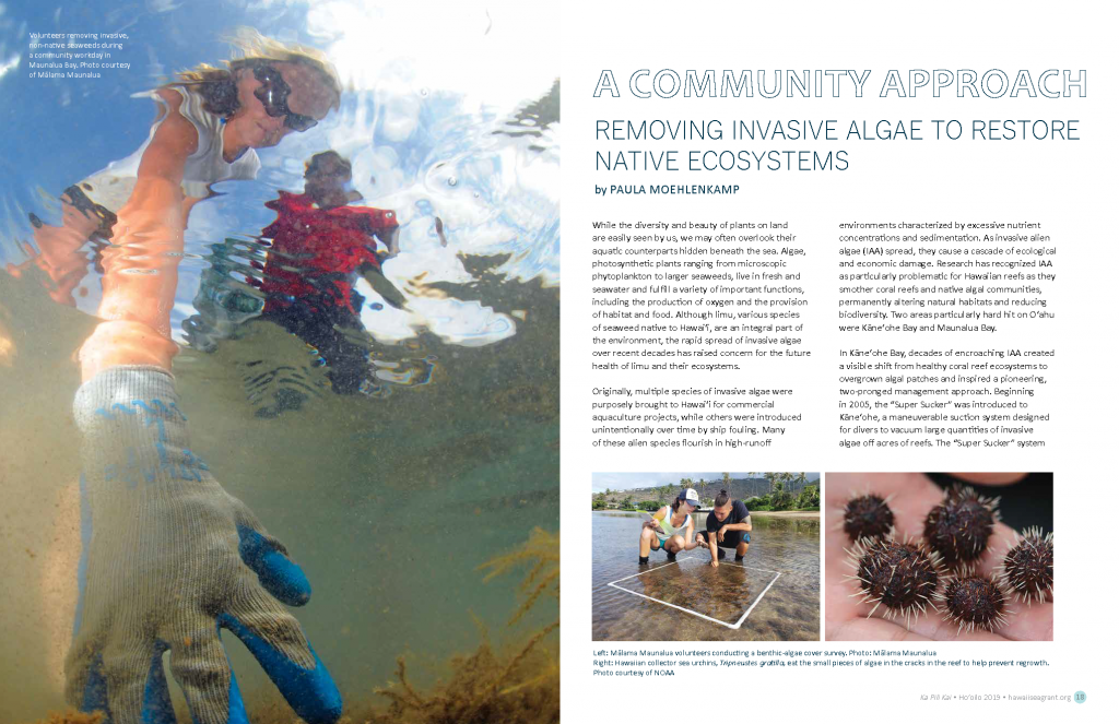 Ppening spread for "A Community Approach: removing invasive algae to restore native ecosystems" article, Ka Pili Kai Hooilo 2019