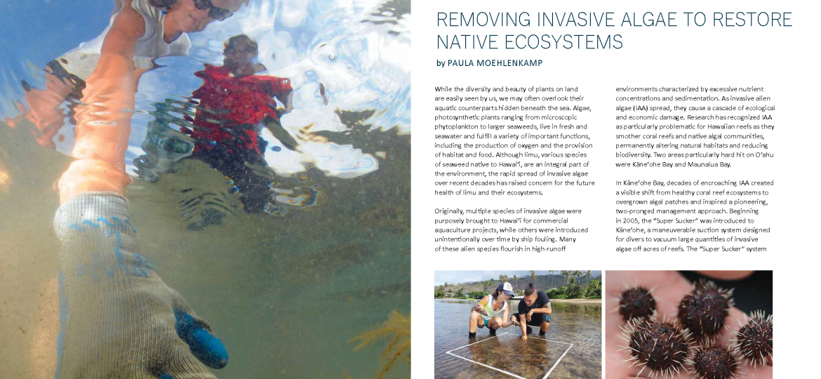 Ppening spread for "A Community Approach: removing invasive algae to restore native ecosystems" article, Ka Pili Kai Hooilo 2019