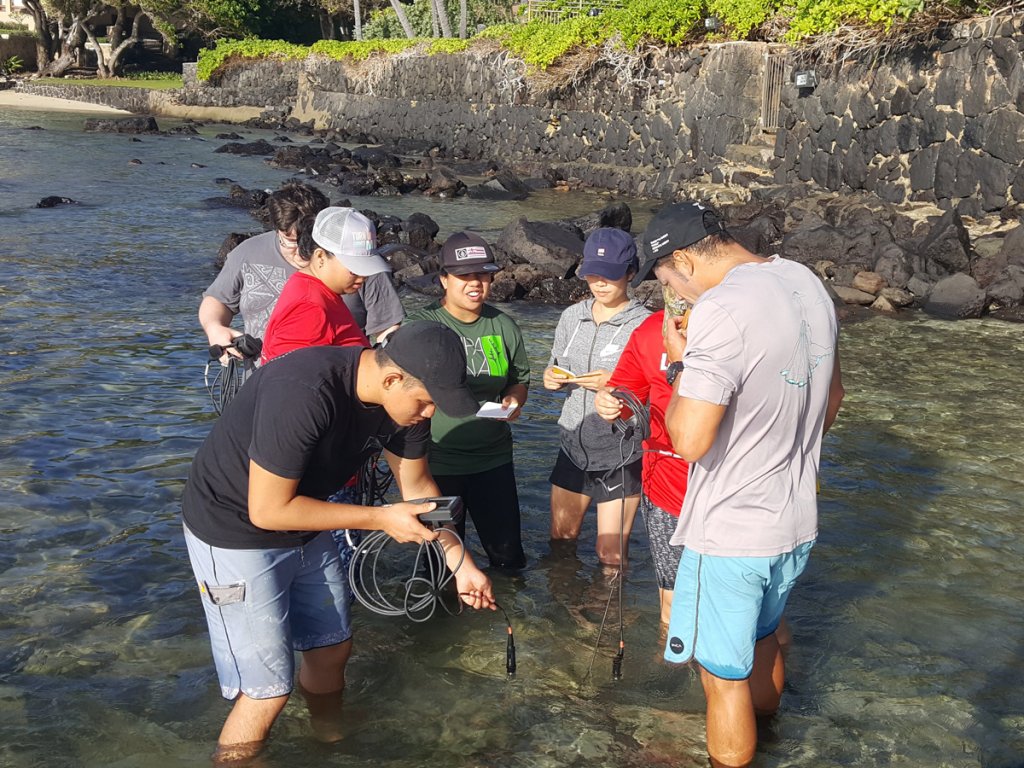 Students stand in knee-deep water to take measurements