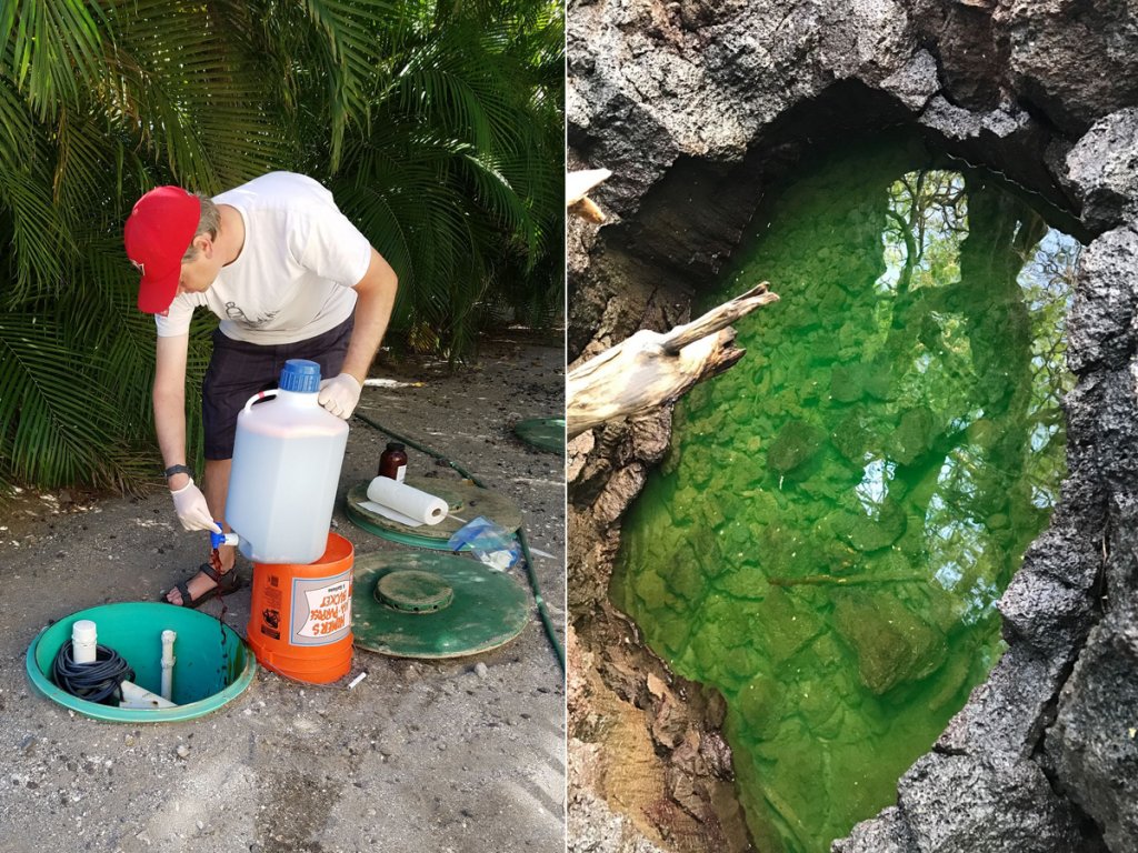 A split image with the left showing a researcher adding dye to the top of a cesspool, and the right showing a natural rock-enclosed pool dyed green.