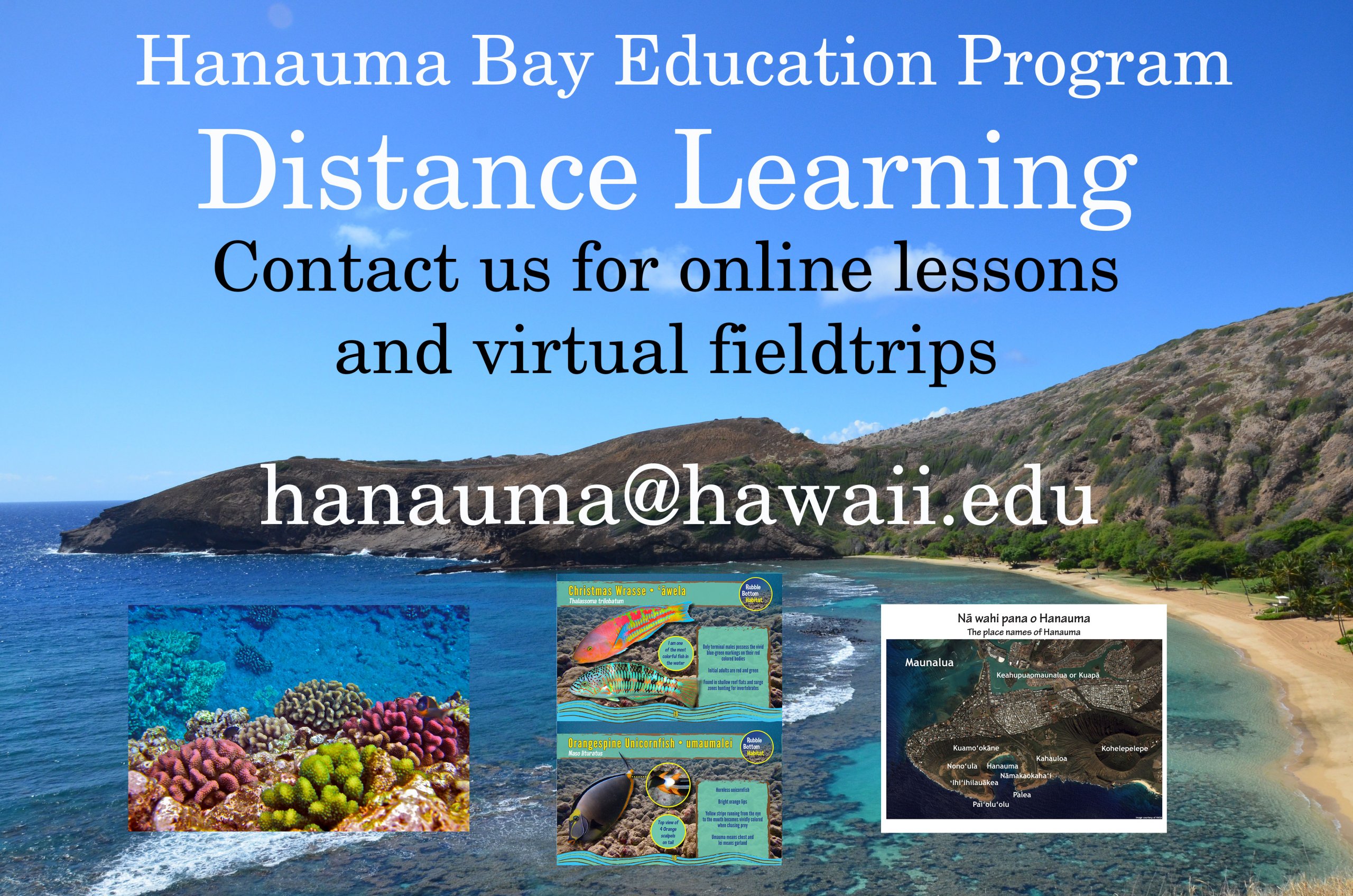 Contact us for online lessons and virtual fieldtrips hanauma@hawaii.edu