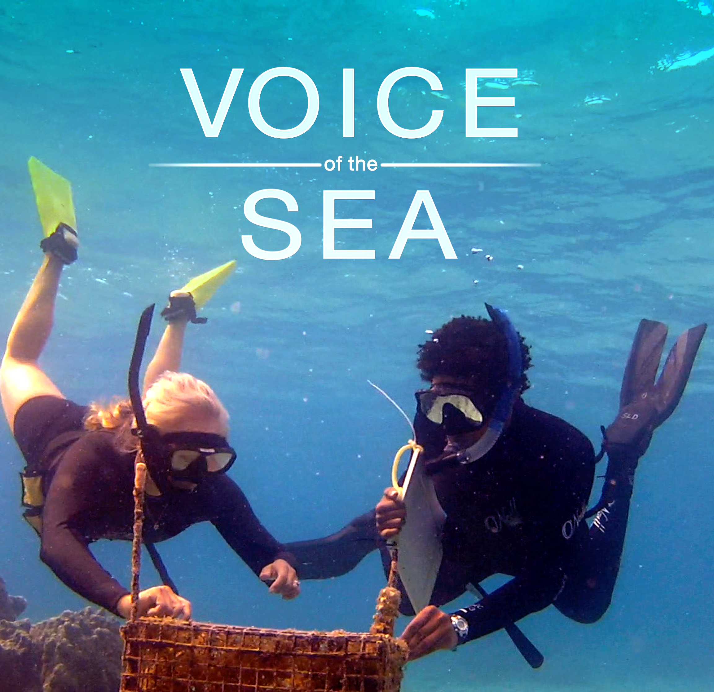 Two divers wear snorkels underwater, with the Voice of the Sea logo overlayed on top of them