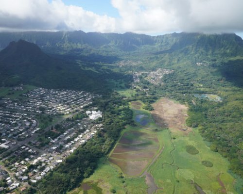 Kawainui Marsh Kailua Development