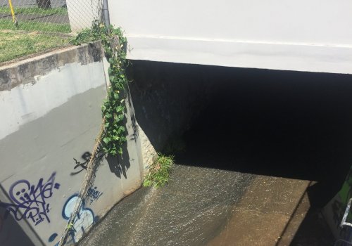 Makiki stream flows under a street bridge