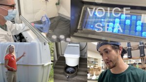 Collage for Voice of the Sea featuring a scientist looking at microbes, Kanesa standing beside a cesspool, a Cinderella toilet and a man with a backwards cap on