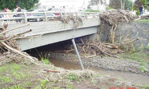 Manoa Stream Flood Debris,2004