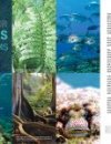 lead spread for Ka Pili Kai article A Reset for Hawai‘i’s Ecosystems. Photos of green Hawaiian fern, trees with large roots, diver conducting survey abouve coral bed, closeup of blenny, and school of silver fish