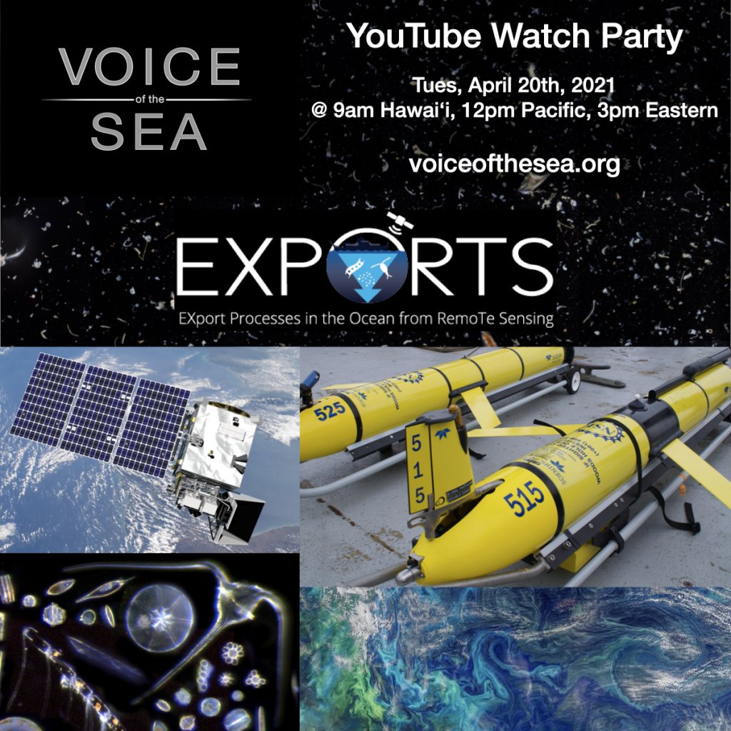 Voice of the Sea 'Exports' Youtube Watch Party April 2021