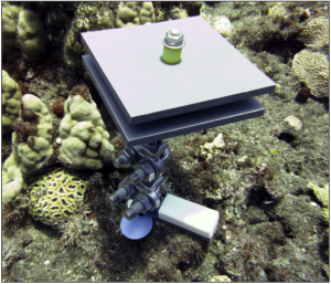 An instrument sits on a coral reef