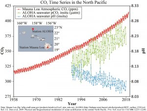 Graph showing increasing carbon dioxide in the atmosphere and ocean, and decreasing pH, over time.