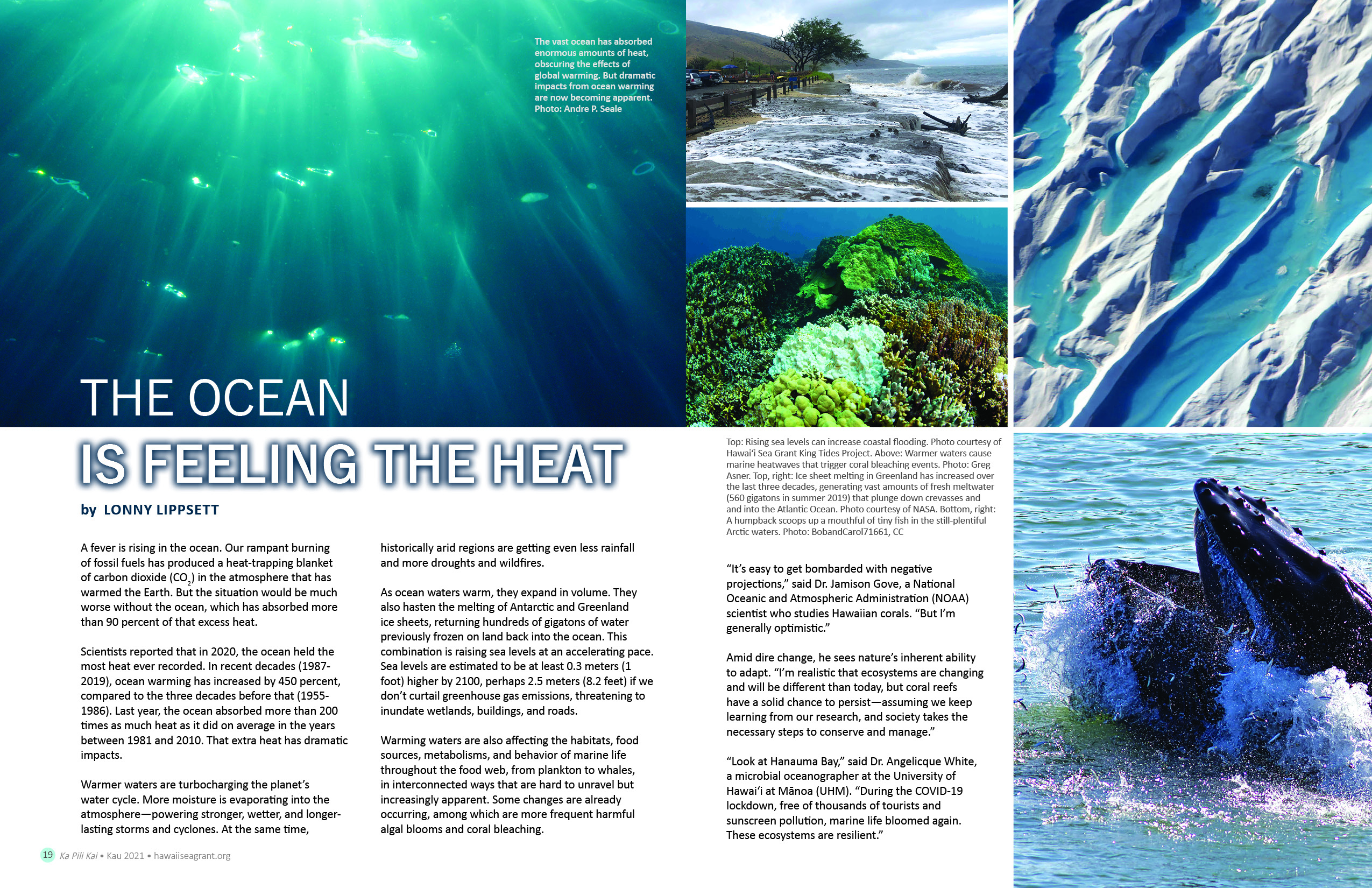 Article 'The Ocean is Feeling the Heat' by Lonny Lippsett. Includes images of a feeding Blue Whale, Coastal flooding, melting ice sheets.
