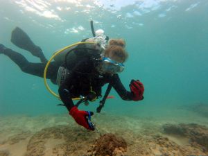 HMAR MDP scuba diver, volunteer Leslie Smith, removing recreational fishing debris from a coral reef in the nearshore waters