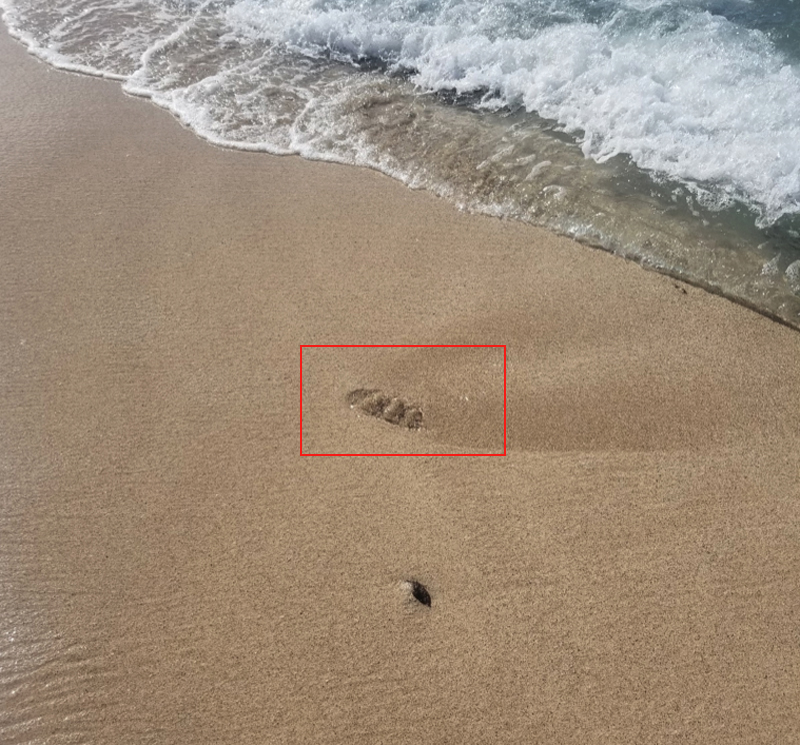 Water leaks out of patch of sand down to the nearby waves