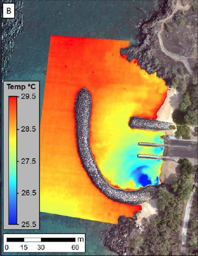 Aerial photo overlain with colors illustrating a blue plume emanating from one end of a bay