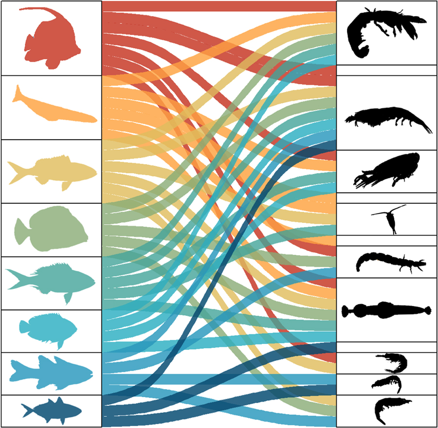 Fish silhouettes (on left) tied by colorful bands to food source silhouettes (on the right) 