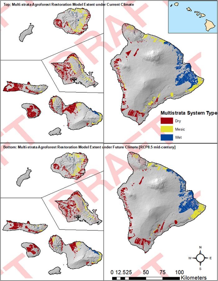 Patches colored against grey base outlines of the Hawaiian Islands for dry, mesic, and wet locations of future agroforestry