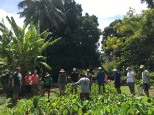 UH Faculty at Kūlana Noiʻi training