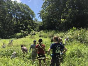 Sea Grant graduate fellows at Lyon Arboretum